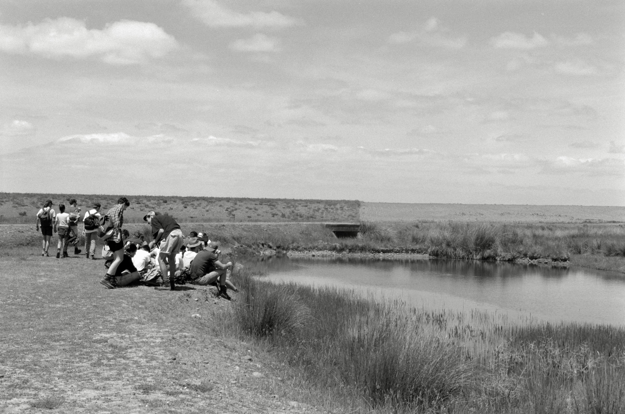 AHP F1995 05 009 sc240826 img31 NLP